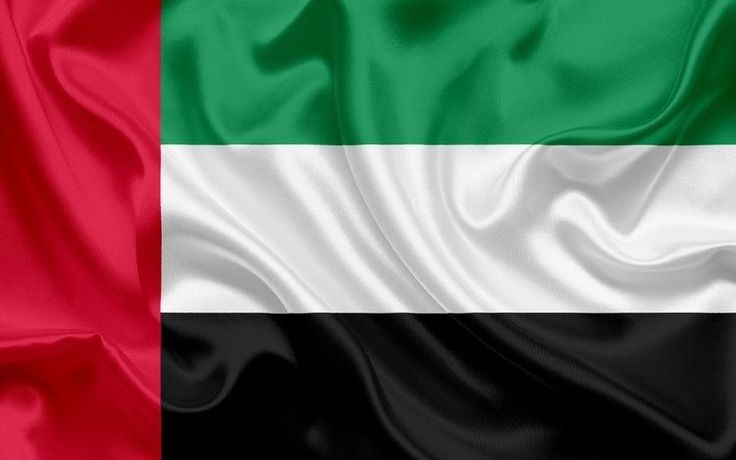 Dubai Flag